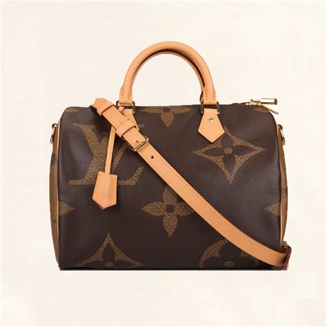 which louis vuitton speedy should i buy|speedy 30 monogram.